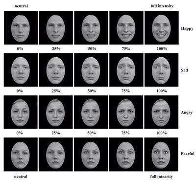 Lower Sensitivity to Happy and Angry Facial Emotions in Young Adults with Psychiatric Problems